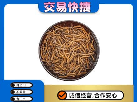 揭阳市榕城回收散虫草